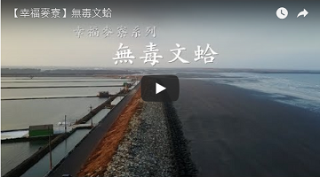 【幸福麦寮】无毒文蛤