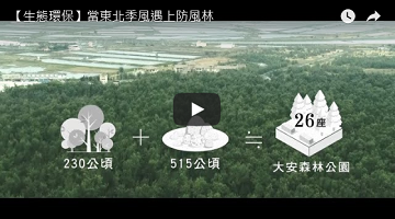 【生态环保】当东北季风遇上防风林 