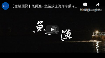 【生态环保】鱼与渔 - 鱼苗放流海洋永续